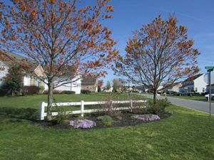 Photo of grounds in The Meadows at Shawnee. Photo of grounds in The Meadows at Shawnee.